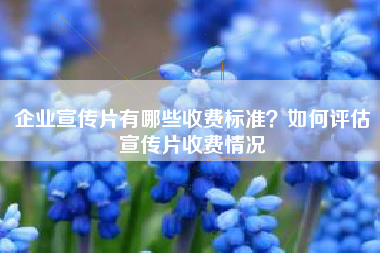 企業(yè)宣傳片有哪些收費(fèi)標(biāo)準(zhǔn)？如何評(píng)估宣傳片收費(fèi)情況